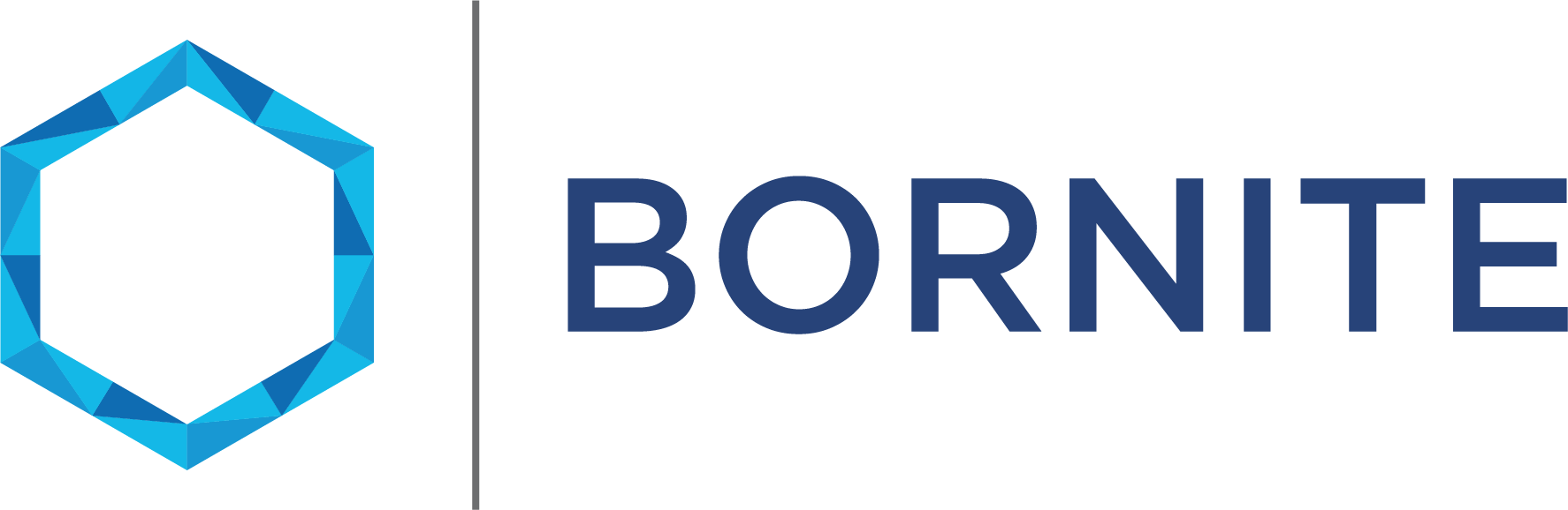 Bornite Capital Management